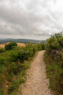 Camino de Santiago olarak: Navarra, Spain geçer