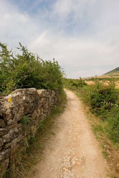 Camino Santiago Som Det Passerar Genom Navarra Spanien — Stockfoto