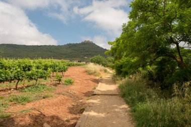 Camino de Santiago olarak: Navarra, Spain geçer