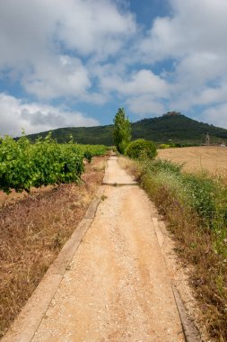 Camino de Santiago olarak: Navarra, Spain geçer
