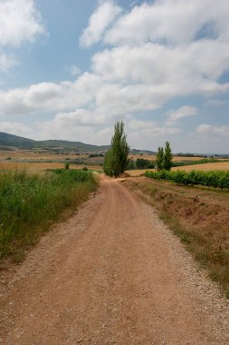Camino de Santiago olarak: Navarra, Spain geçer
