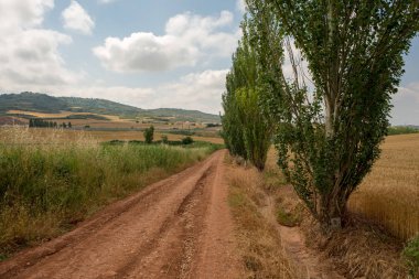Camino de Santiago olarak: Navarra, Spain geçer