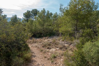 Avuç içi altında mavi gökyüzü, İspanya çöl