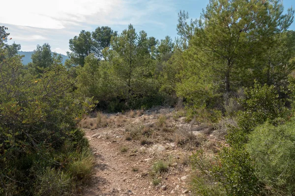 Avuç içi altında mavi gökyüzü, İspanya çöl