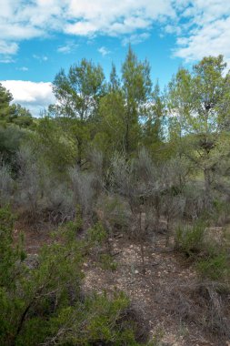 Avuç içi altında mavi gökyüzü, İspanya çöl