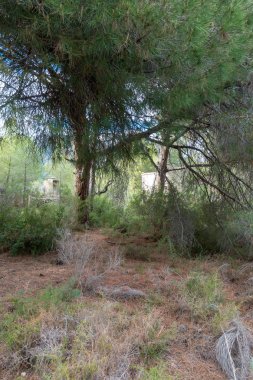 Avuç içi altında mavi gökyüzü, İspanya çöl