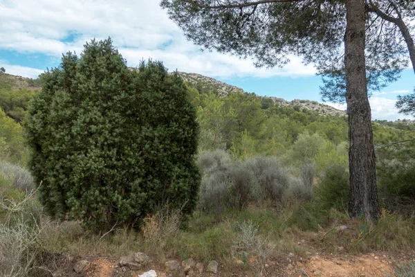 Avuç içi altında mavi gökyüzü, İspanya çöl