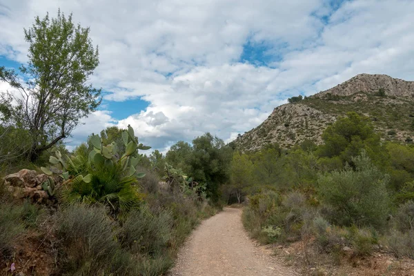 Avuç içi altında mavi gökyüzü, İspanya çöl