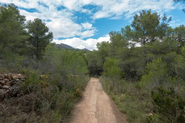 Avuç içi altında mavi gökyüzü, İspanya çöl