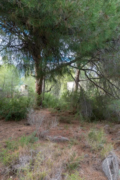 Avuç içi altında mavi gökyüzü, İspanya çöl