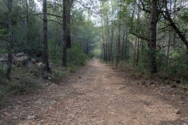 Avuç içi altında mavi gökyüzü, İspanya çöl