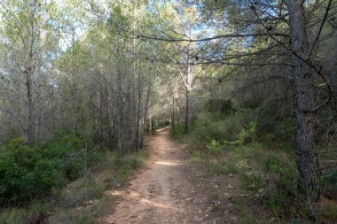 Avuç içi altında mavi gökyüzü, İspanya çöl