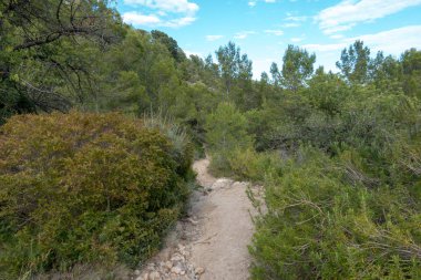 Avuç içi altında mavi gökyüzü, İspanya çöl