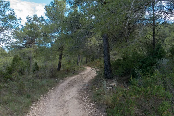 Avuç içi altında mavi gökyüzü, İspanya çöl