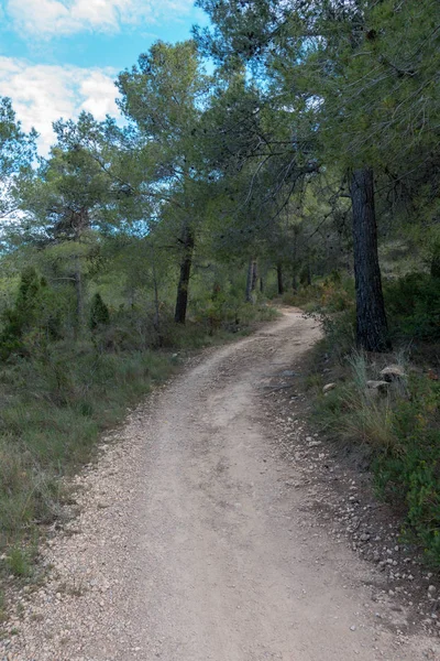 Avuç içi altında mavi gökyüzü, İspanya çöl