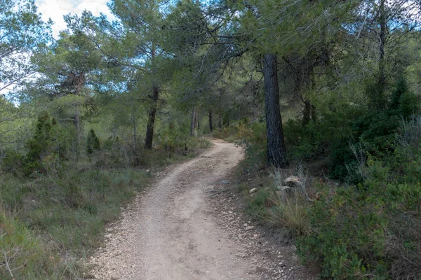 Avuç içi altında mavi gökyüzü, İspanya çöl