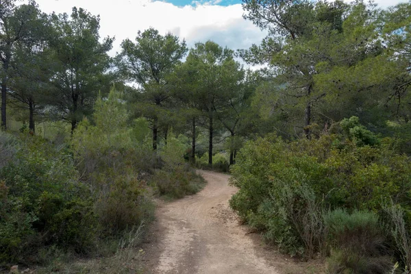Avuç içi altında mavi gökyüzü, İspanya çöl