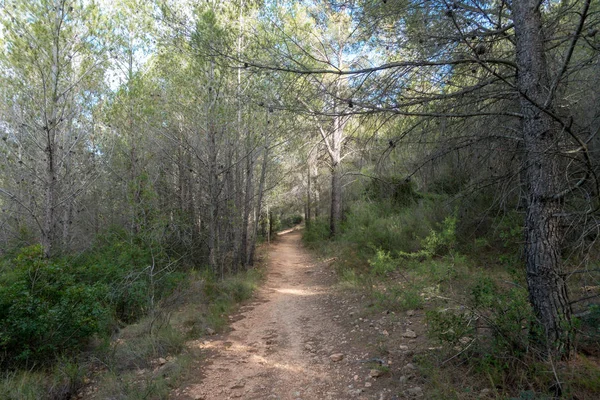 Avuç içi altında mavi gökyüzü, İspanya çöl