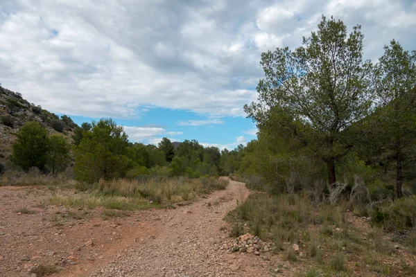 Avuç içi altında mavi gökyüzü, İspanya çöl