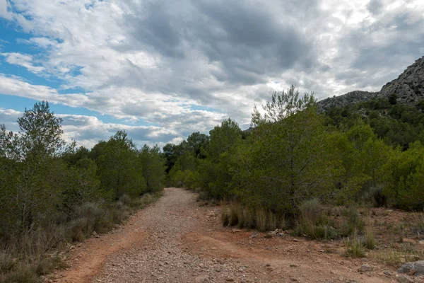 Avuç içi altında mavi gökyüzü, İspanya çöl