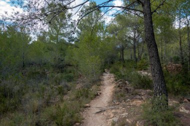 Avuç içi altında mavi gökyüzü, İspanya çöl