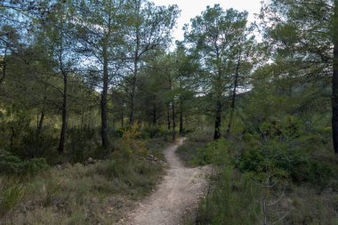 Avuç içi altında mavi gökyüzü, İspanya çöl