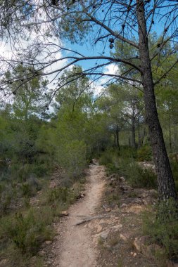 Avuç içi altında mavi gökyüzü, İspanya çöl