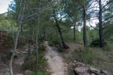 Avuç içi altında mavi gökyüzü, İspanya çöl