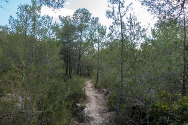 Avuç içi altında mavi gökyüzü, İspanya çöl