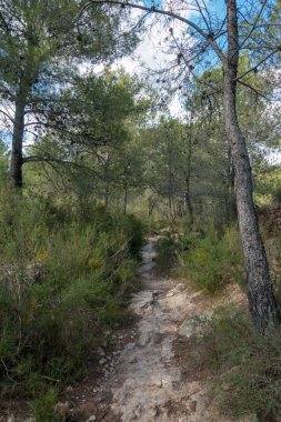Avuç içi altında mavi gökyüzü, İspanya çöl