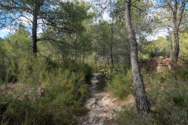 Avuç içi altında mavi gökyüzü, İspanya çöl