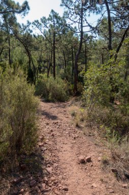 Avuç içi altında mavi gökyüzü, İspanya çöl