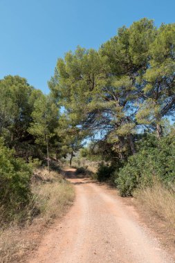 Avuç içi altında mavi gökyüzü, İspanya çöl
