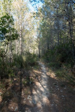Avuç içi altında mavi gökyüzü, İspanya çöl