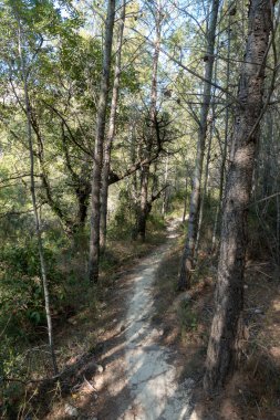 Avuç içi altında mavi gökyüzü, İspanya çöl