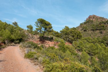Avuç içi altında mavi gökyüzü, İspanya çöl