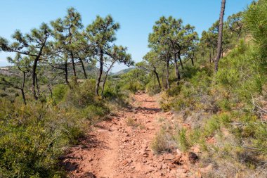 Avuç içi altında mavi gökyüzü, İspanya çöl