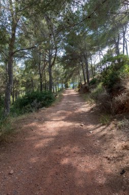 Avuç içi altında mavi gökyüzü, İspanya çöl