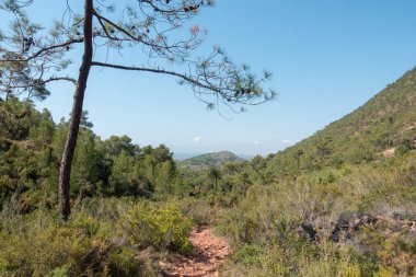 Avuç içi altında mavi gökyüzü, İspanya çöl