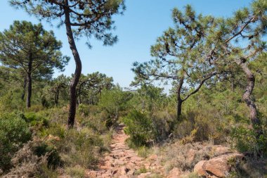 Avuç içi altında mavi gökyüzü, İspanya çöl