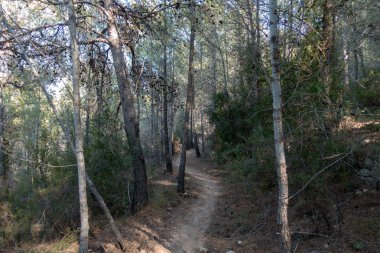 Avuç içi altında mavi gökyüzü, İspanya çöl