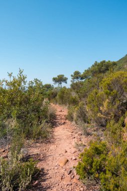 Avuç içi altında mavi gökyüzü, İspanya çöl
