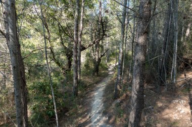 Avuç içi altında mavi gökyüzü, İspanya çöl