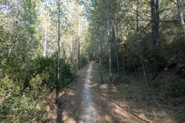 Avuç içi altında mavi gökyüzü, İspanya çöl