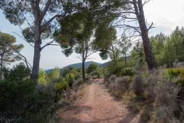 Avuç içi altında mavi gökyüzü, İspanya çöl