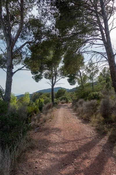 Avuç içi altında mavi gökyüzü, İspanya çöl