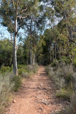 Avuç içi altında mavi gökyüzü, İspanya çöl