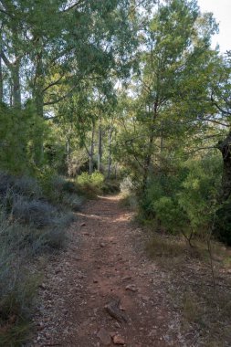 Avuç içi altında mavi gökyüzü, İspanya çöl