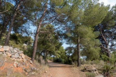 Avuç içi altında mavi gökyüzü, İspanya çöl