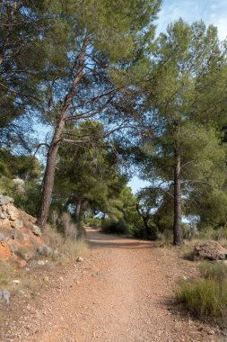 Avuç içi altında mavi gökyüzü, İspanya çöl